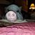 Larry Guinther's profile image