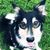Amy Lamberty Williams's profile image