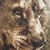 Terri Greer Richardson's profile image