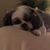 Gwendolyn Sowden's profile image