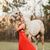 Colette Lemonier's profile image