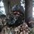 Tyler Jennings's profile image