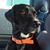 Stephanie Fitzgerald's profile image