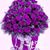 Cecille Radam's profile image