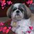Dean Coley's profile image