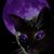 Mary Kennedy's profile image