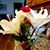 Chanda Lee Swartz's profile image