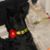 Bernadette Ciago-Rocks's profile image