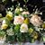 Cathy Dippold's profile image