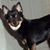 Twila Wilfawn Hauzer's profile image