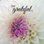 Linda Duncan Haught's profile image