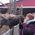 Cynthia DeVries's profile image