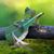James Saulmon's profile image