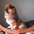 Barbara Galloway's profile image