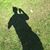 Josh Crapper's profile image