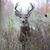 Randy Jacobs's profile image