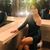 Lilana Yunga's profile image