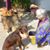 Waltraud Anna Strauss's profile image