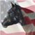 Nancy Hrabak Ciraldo's profile image