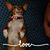 Jennifer Tribble's profile image