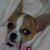 Kathy Winget's profile image