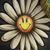 Laura Bock Toohig's profile image