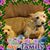 Tracey Muir's profile image
