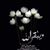 Ali Taher's profile image