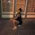 Teya Evangeline King's profile image