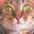 Doris Carpenter's profile image