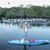 Janet Monteleone Erlacher's profile image