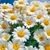 Linda Ruppert's profile image