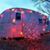 Wayne Piatt's profile image