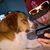 Jill Staats's profile image