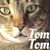 Ed Senft's profile image