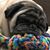 Chris James's profile image