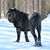 Kelly Parker-Hill's profile image