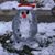 Bill Hettinger's profile image