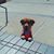 Mardi McGuire-Closson's profile image