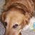 Jen Tolot's profile image