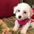 Julie Zatkow's profile image