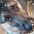 Carmel Filip's profile image