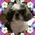 Sharon R Smith's profile image