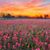 Judith Wheeler Schlaack's profile image
