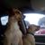Bill Powell's profile image