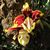 Susan Wiens's profile image