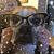 Jolynn Carlson's profile image