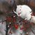 Mary Lavery's profile image