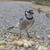Bill Dillon's profile image