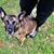 Martha B. Pulley's profile image